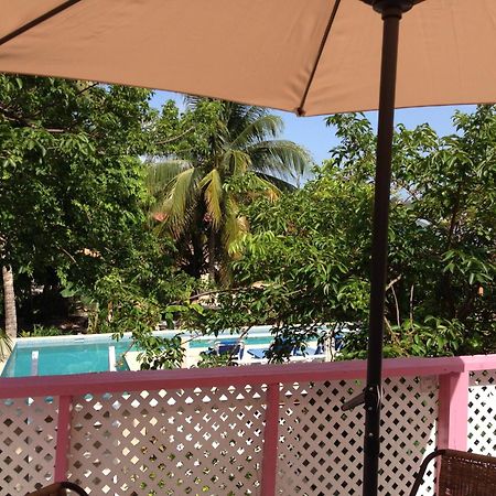 Hummingbirds Cabins Caye Caulker Værelse billede