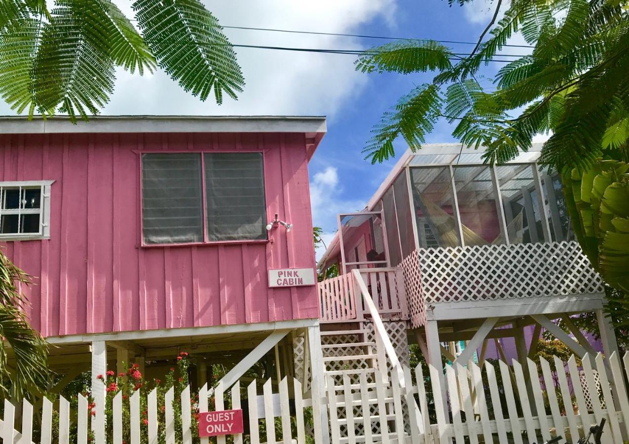 Hummingbirds Cabins Caye Caulker Værelse billede